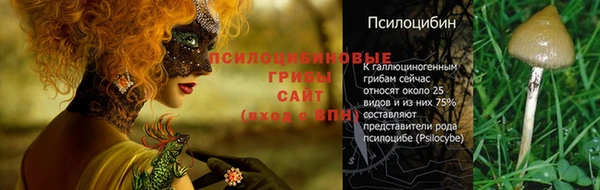 марихуана Каменногорск