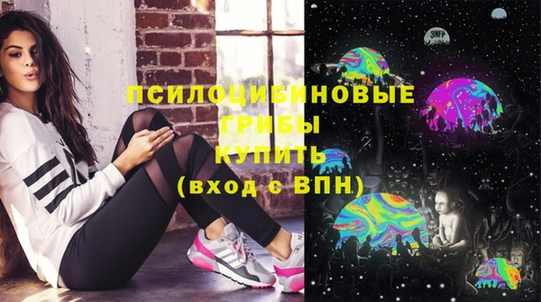 a pvp Карпинск