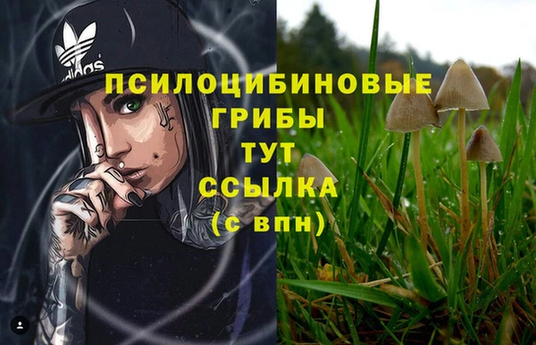 mdma Каменка