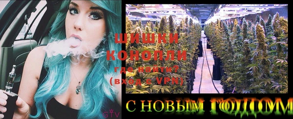 кристаллы Инта