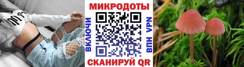 магазин  наркотиков  Котельнич  Псилоцибиновые грибы прущие грибы 